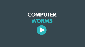 Computer-Worms